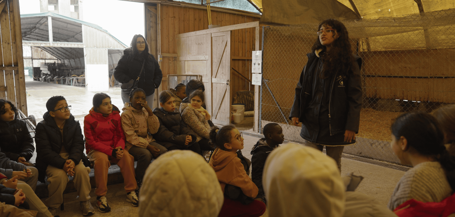 Enfants Bergerie Nationale Rambouillet 