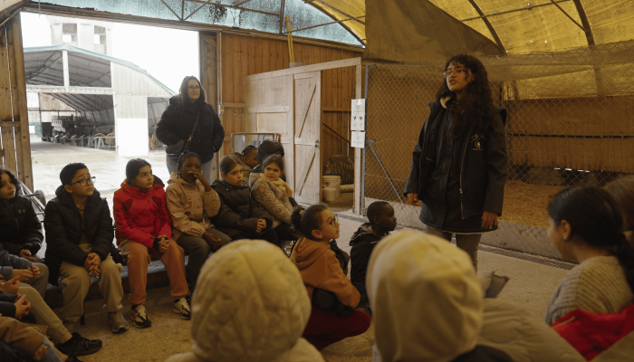 Enfants Bergerie Nationale Rambouillet 