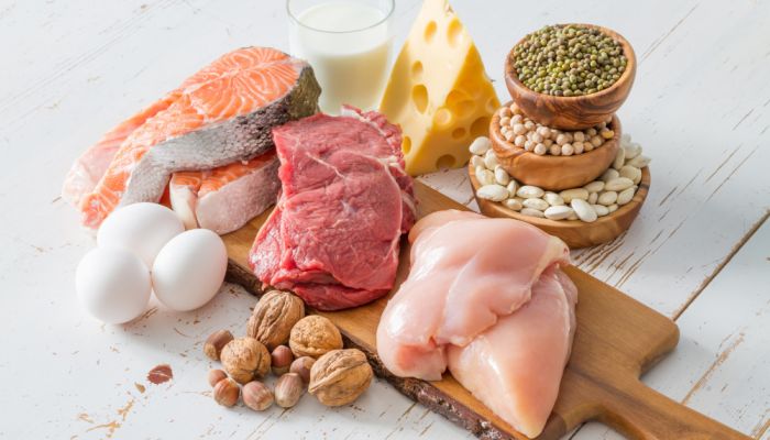 alimentation sources protéines