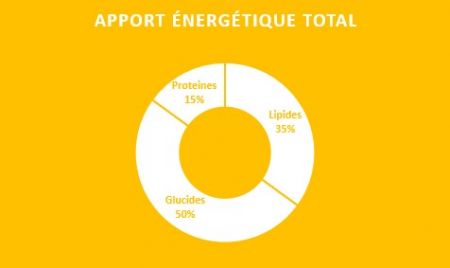 apport énergétique total
